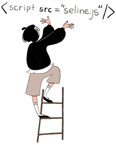 Overview - Seline docs